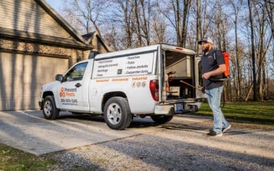 What Are Preventative Pest Control Services?