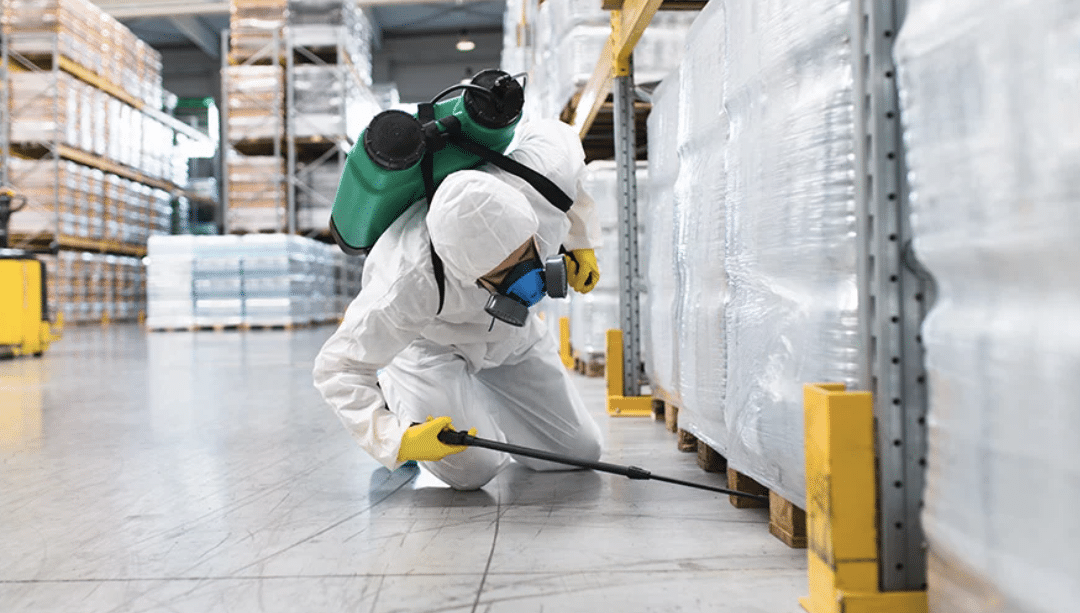 Why Commercial Pest Control is Essential for Your Business in Genesee County