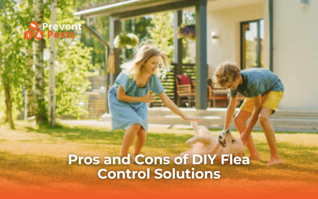 Pros and Cons of DIY Flea Control Solutions