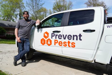 Rodent Movemant Rodent Bait Placement Practices For Winter Intrusions - Prevent Pests