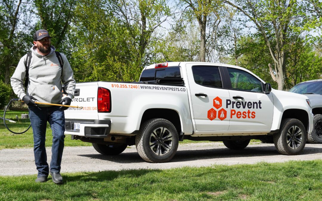 Benefits Of Professional Pest Plans